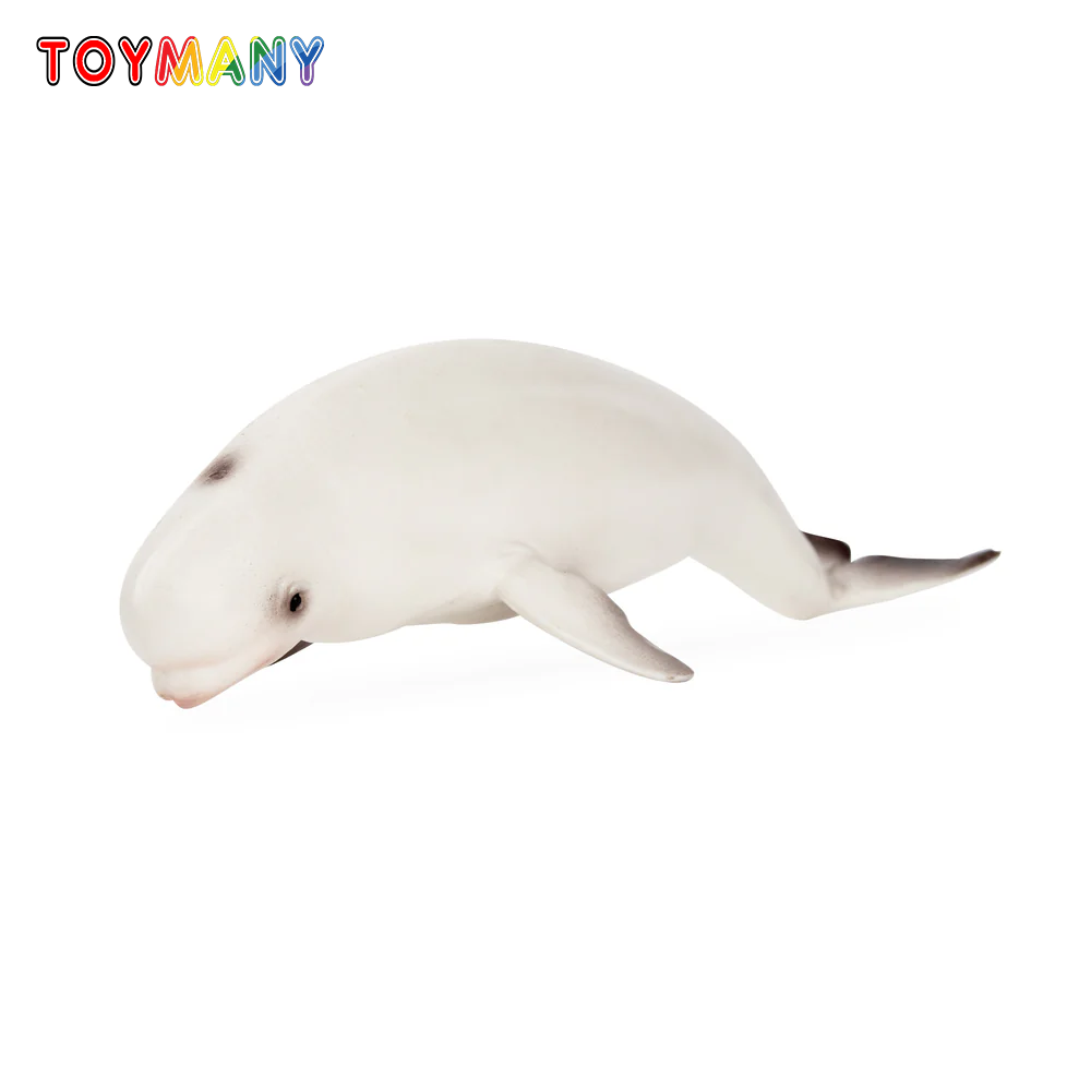 Kids Toys Variety - Toymany Simulation Beluga Whale Ocean Animal