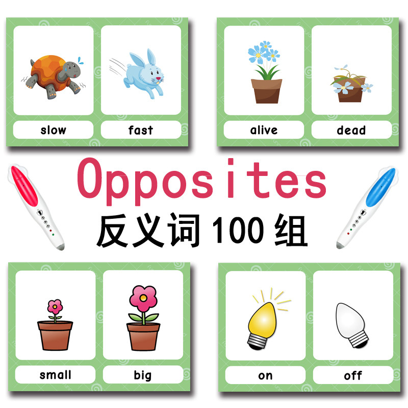 The 100 Groups Opposites Flash - Kids Toys Variety recension och pris