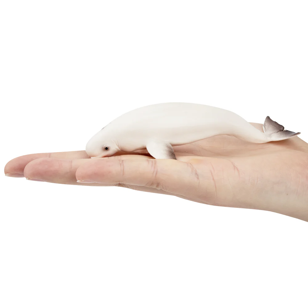 Toymany Simulation Beluga Whal - Kids Toys Variety recension och pris