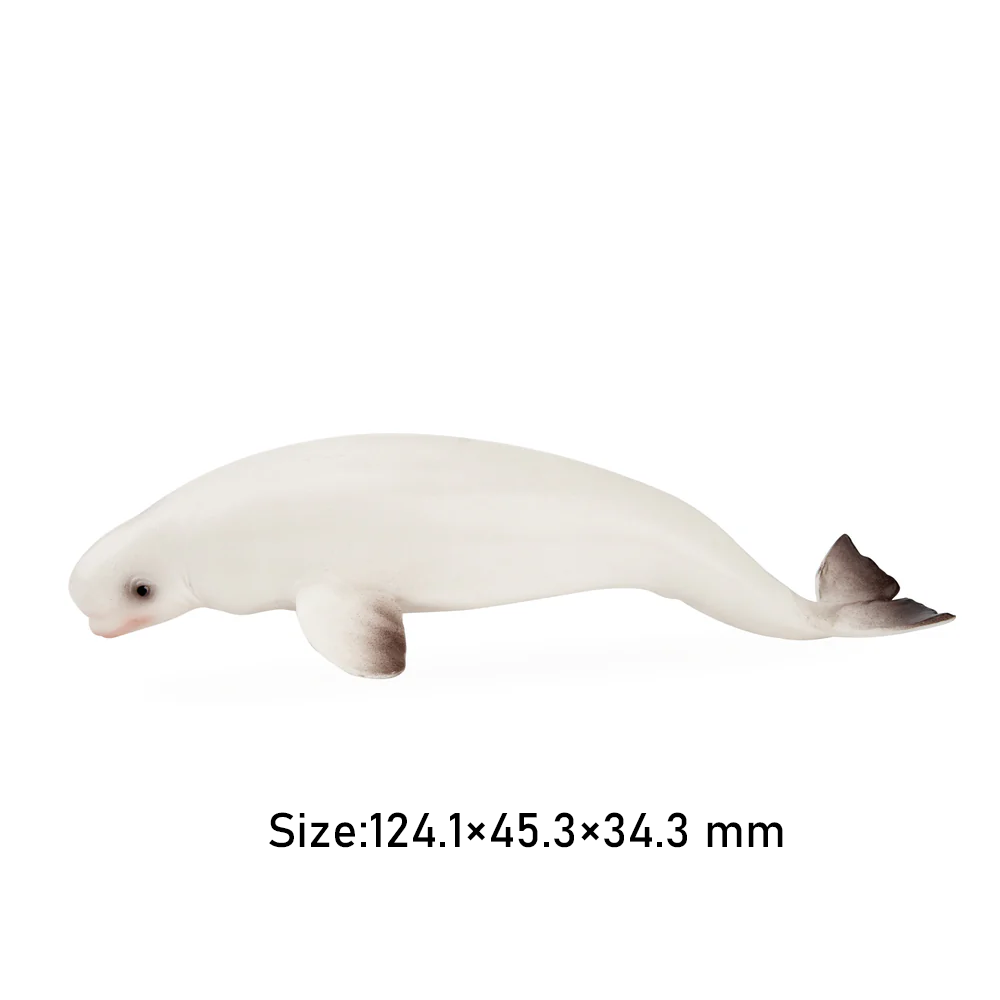 Toymany Simulation Beluga Whal - Kids Toys Variety recension och pris