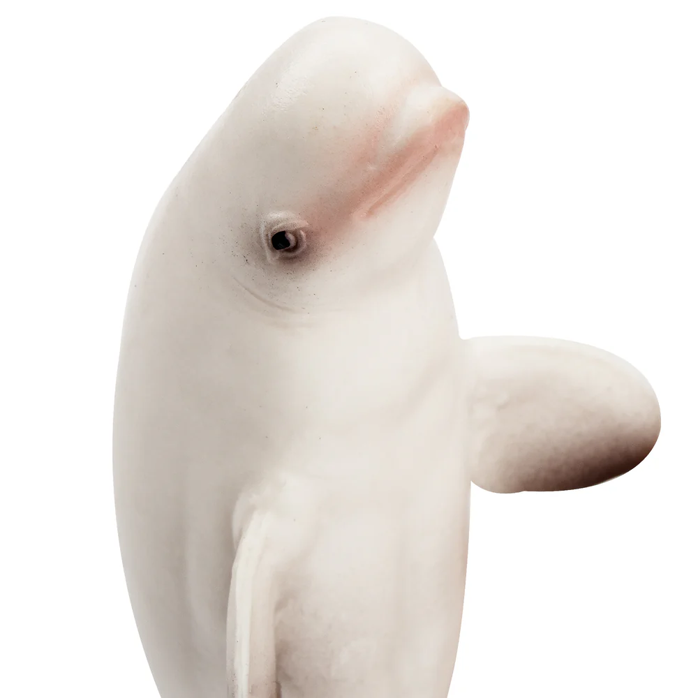 Toymany Simulation Beluga Whal - Kids Toys Variety recension och pris